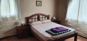 图蓬加托火山Cabaña del Alto Tupungato的一间卧室配有一张床,还有两个带两盏灯的床头柜
