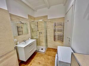 都灵Pregevole loft con soppalco的一间带水槽和淋浴的浴室