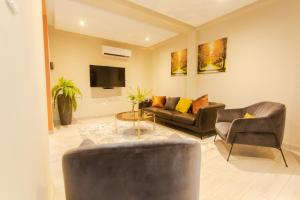 ChantanAccra Luxury Homes @ Achimota的客厅配有沙发、椅子和电视