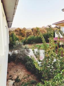 ArnavutköyForest villa- 5 minutes from the airport的从房子的窗户可欣赏到花园景色