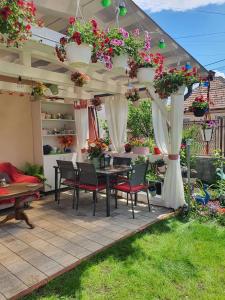 莱斯诺夫Casa Doina的一个带桌椅的庭院,凉棚下种有鲜花