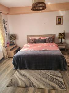 莱斯诺夫Casa Doina的一间卧室配有一张带粉色毯子和地毯的床。