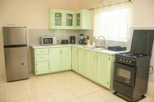 Belmontlovely 2 bedroom Apt 4 warm cosy comfortable的厨房配有绿色橱柜和冰箱。