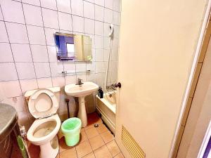 台东日寺光胶囊的一间带卫生间和水槽的小浴室