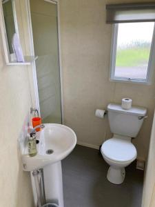 英戈尔德梅尔斯Ingoldmells - Millfields D13的浴室配有白色卫生间和盥洗盆。