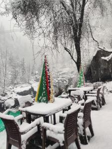 马拉里Last Stop Riverside wooden Huts, Camps & Dorms的一组雪覆盖着圣诞树的桌子