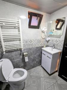 卡兹贝吉Cottage Caucasus的一间带卫生间、水槽和镜子的浴室