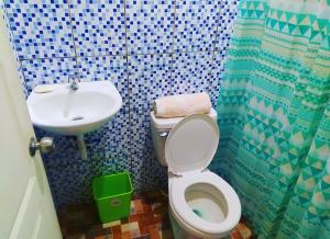 莫约加尔帕Rustic House Hostel的一间带卫生间和水槽的小浴室