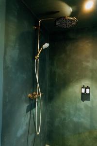 龙塞Fiertelmeers Boutique B&B的带淋浴的浴室,设有绿色的墙壁