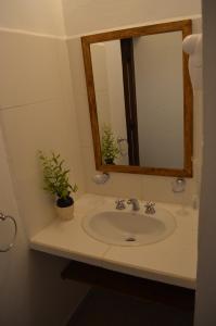 科洛尼亚卡洛斯佩莱格里尼Posada Che Teindy的浴室水槽,配有镜子和盆栽植物