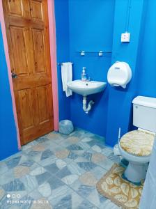 圣费尔南多Excellent Pleasantville Apartment的蓝色的浴室设有卫生间和水槽