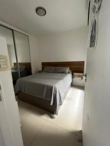 布宜诺斯艾利斯Apartamento 2 Ambientes - Moderno totalmente Amoblado的一间卧室配有一张床和一面大镜子