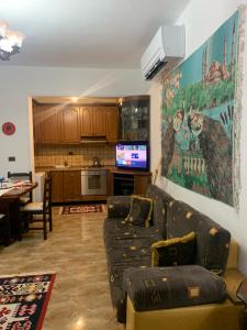 培拉特Vila Demaj的带沙发的客厅和厨房