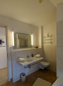 欣特察尔滕Ferienhaus Ketterer Hinterzarten的一间带水槽、卫生间和镜子的浴室