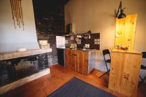 瓦隆古Porto Natura Loft的一间带炉灶和壁炉的厨房