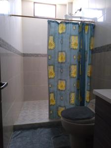 巴克里索莫雷诺港Casa de Alexita的带淋浴帘和卫生间的浴室