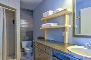 朗斯圣让Auberge de Jeunesse Le Camp De Base的一间带水槽、卫生间和镜子的浴室