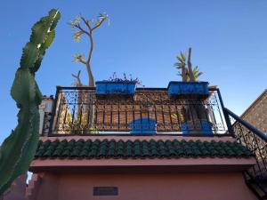 马拉喀什riad rose eternelle的建筑物顶部的两株盆栽植物