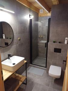 卡缅纳古拉Maraśka Holiday House的带淋浴、盥洗盆和卫生间的浴室