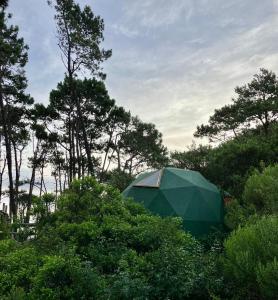 Ocean ParkDomosdeMar的绿树成荫的帐篷