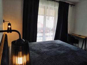 帕苏德尔托纳莱Apartment La Tonalina的一间卧室配有一张带灯和窗户的床