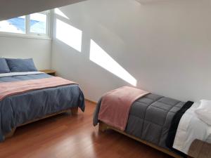 科克拉内Casa Grande, Alojamiento "BSA"的一间卧室设有两张床和窗户。