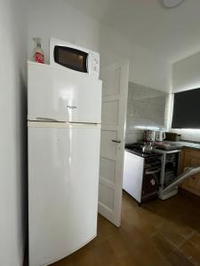 科斯金Casa de Tati en Cosquín Córdoba的厨房里配有带微波炉的白色冰箱