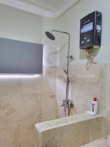 AirsatangMedewi Manor的带淋浴的浴室、水槽和电视