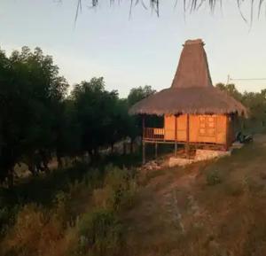 NdanguGUEST HOUSE的田野上带草屋顶的小小屋
