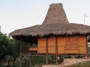 NdanguGUEST HOUSE的茅草屋顶的小小屋