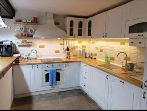 Бор и Шишарка的厨房配有白色橱柜和水槽