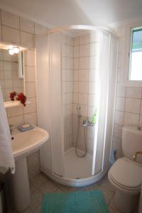 阿约斯尼奇塔斯Deep Blue- Rosemary sea view的带淋浴、卫生间和盥洗盆的浴室