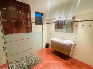 翁肯Natursport Heutal Appartements的一间带水槽和淋浴的浴室