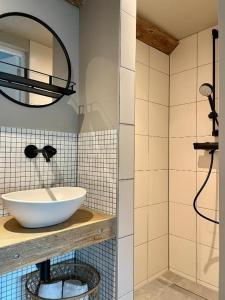 多德雷赫特De Zuileshoeve的一间带水槽和镜子的浴室