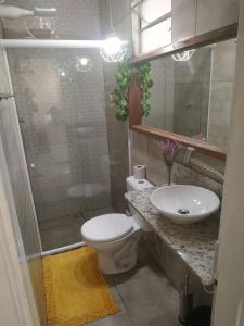 巴拉曼萨Confortável apartamento no centro ano bom的浴室配有卫生间、盥洗盆和淋浴。