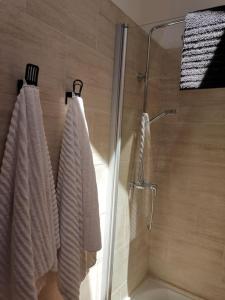 坎普罗东Dúplex espectacular en el centro de Camprodón.的带淋浴的浴室,配有2条毛巾和玻璃门
