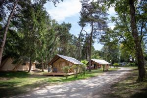 艾克塞恩维克斯Camping La Pinède的一条土路的森林里的一组帐篷