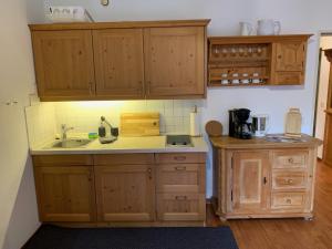 法尔先特Almzeit的一个带木制橱柜和水槽的厨房