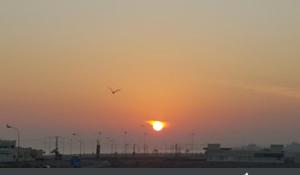 苏尔Al Basateen Hotel Apartment的鸟在夕阳前飞翔
