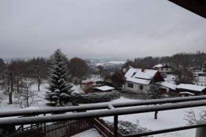 Železný BrodPrázdninový dům Jirkov的享有带雪盖的庭院和房屋的景色
