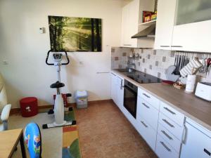 RačeApartma Velesa的厨房配有白色橱柜和三脚架上的摄像头