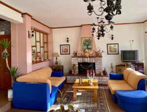 皮索德里Eleni's Guesthouse的客厅设有蓝色的沙发和壁炉