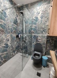 塞萨洛尼基MODIANO CENTRAL STUDIO的一间带卫生间和玻璃淋浴间的浴室