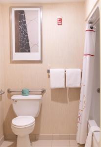 伊利伊利原住客栈的一间带卫生间的浴室和墙上的照片
