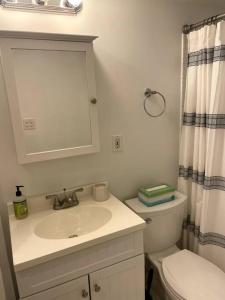 波士顿Lovely Two Bedroom Condo in South Boston的一间带水槽、卫生间和镜子的浴室