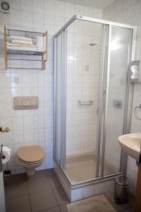 巴特比恩巴赫Geisbergerhof的带淋浴和卫生间的浴室