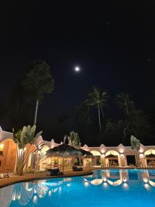 拉迈Zibá Home Suites的夜晚的游泳池,天空中月亮