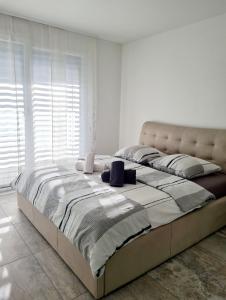 贝林佐拉GaLa Appartamento的卧室设有一张大床,卧室设有大窗户