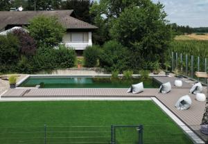 Ebersbachvista-apartments的后院设有游泳池和绿色草坪