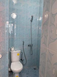 瓦尔扎扎特Hotel Rayyan l 'Escale的浴室配有淋浴和卫生间。